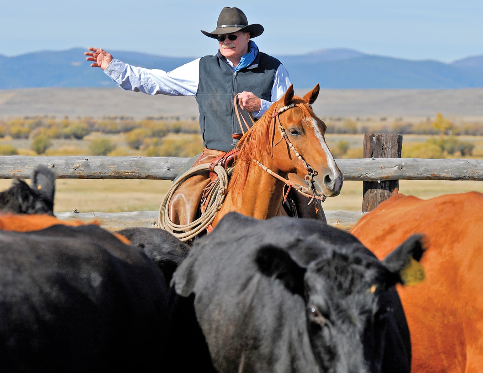 Premium Tooled Leather Accessories for Farm and Ranch Life