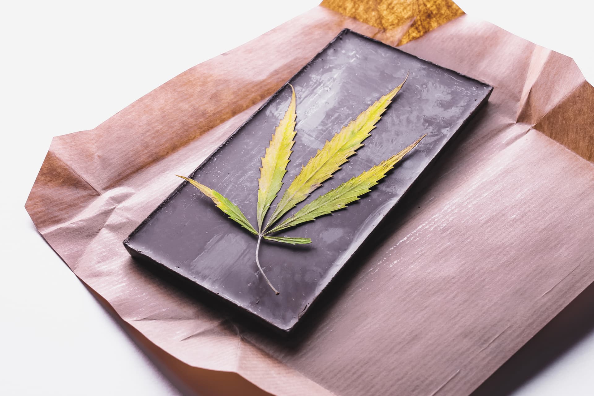 Csc hamburg – Cannabis Club mit offizieller Lizenz