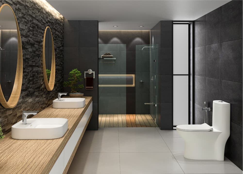 Elegant Showers for Elegant and Functional Bathrooms