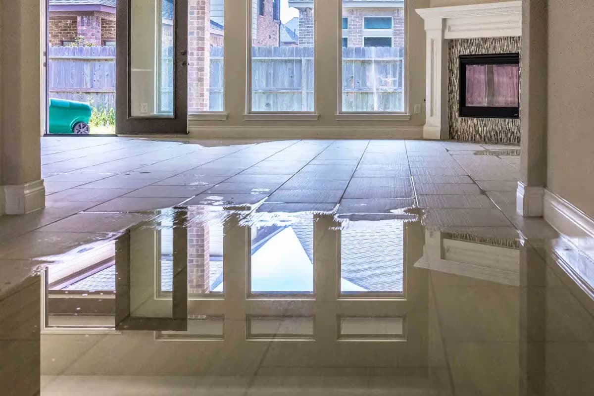 Trusted Cleaning Services with water damage restoration kyle tx