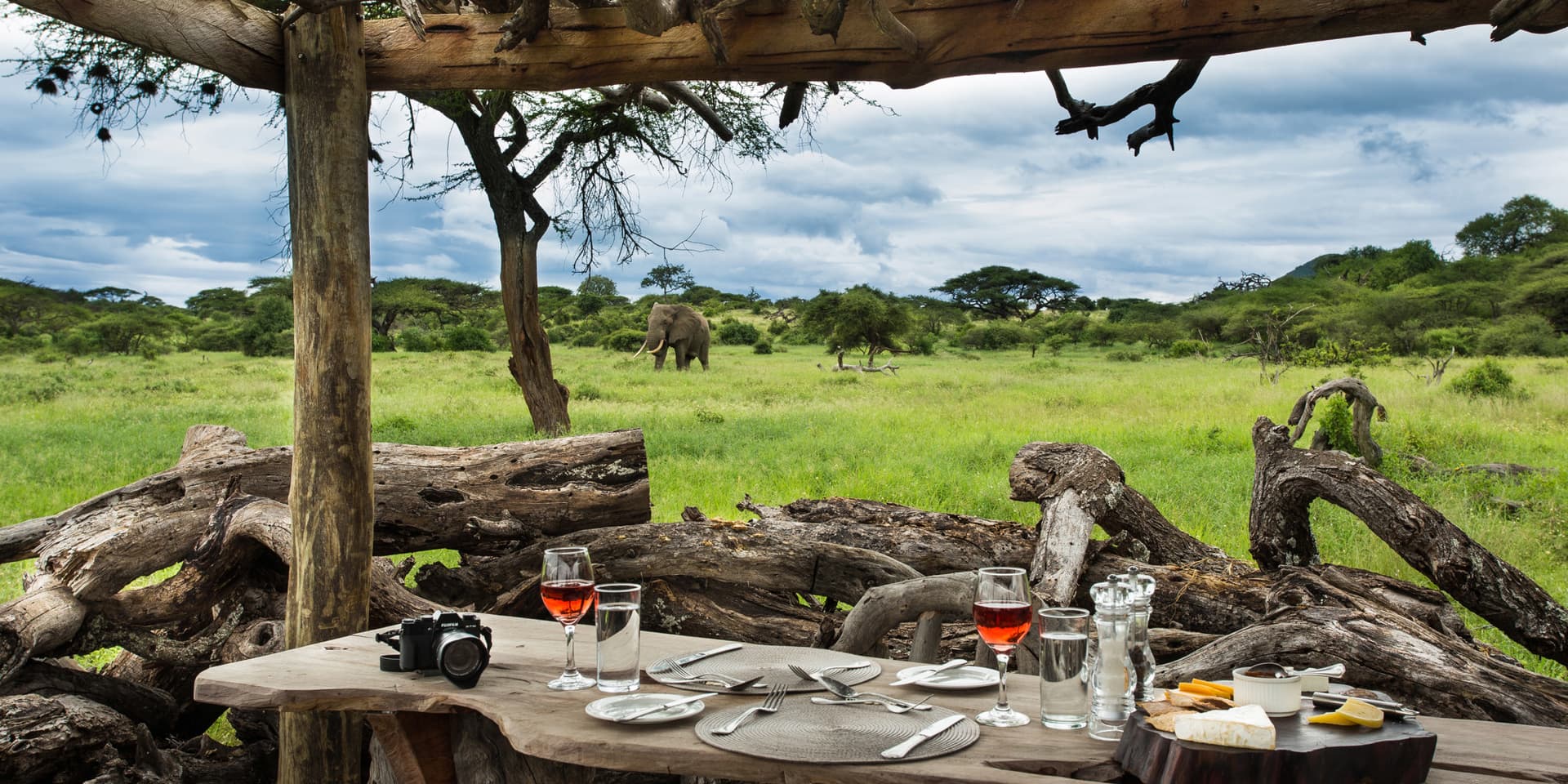Extraordinary African Safari Experiences Curated by Experts