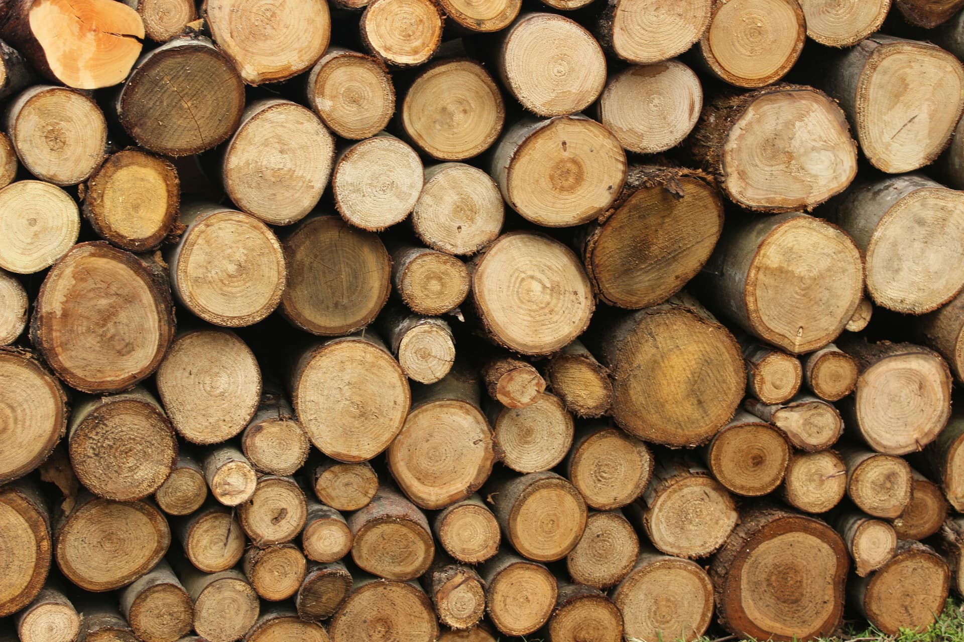 Top RUF Briquettes Netherlands: Eco-Friendly Heating Solution