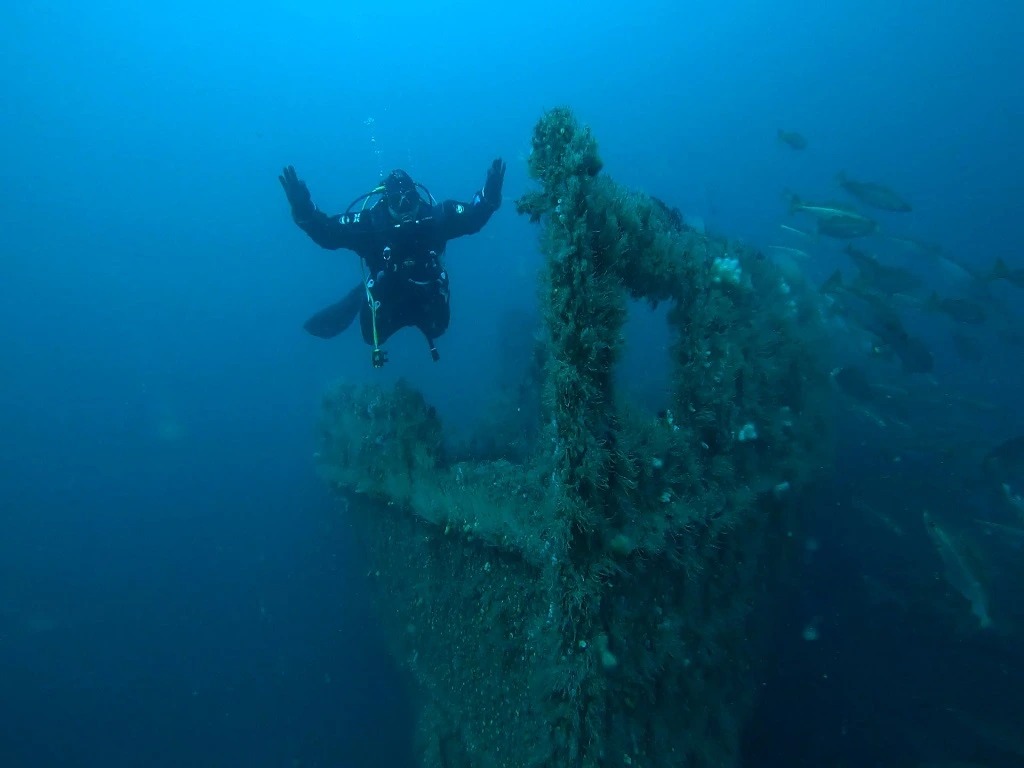 Best Dive Sites for Boat Diving Northern Ireland