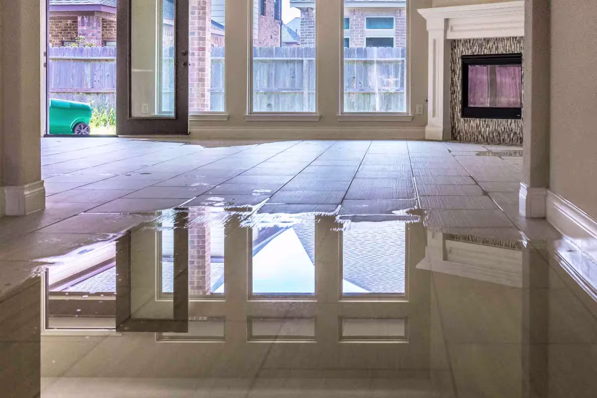 Trusted Cleaning Services with water damage restoration kyle tx