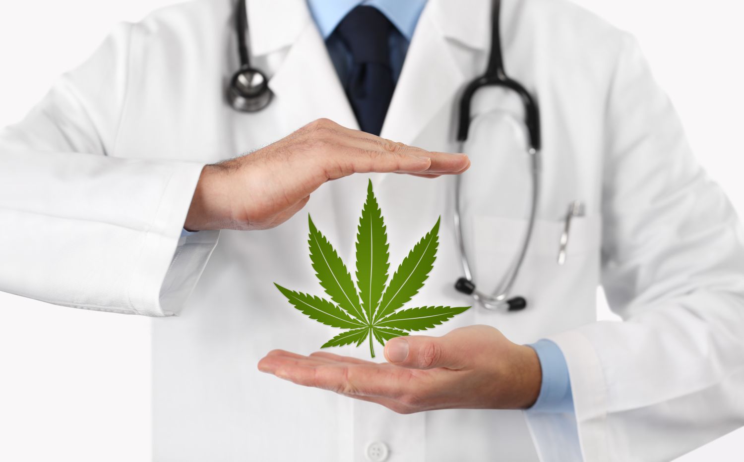 Wholesale CBD Edibles for Wellness Brands