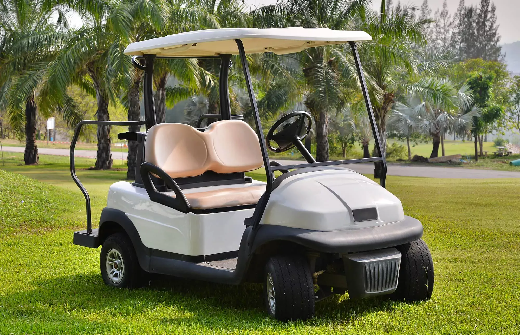 Enhance Your Game with Unique Custom Golf Carts for Every Player