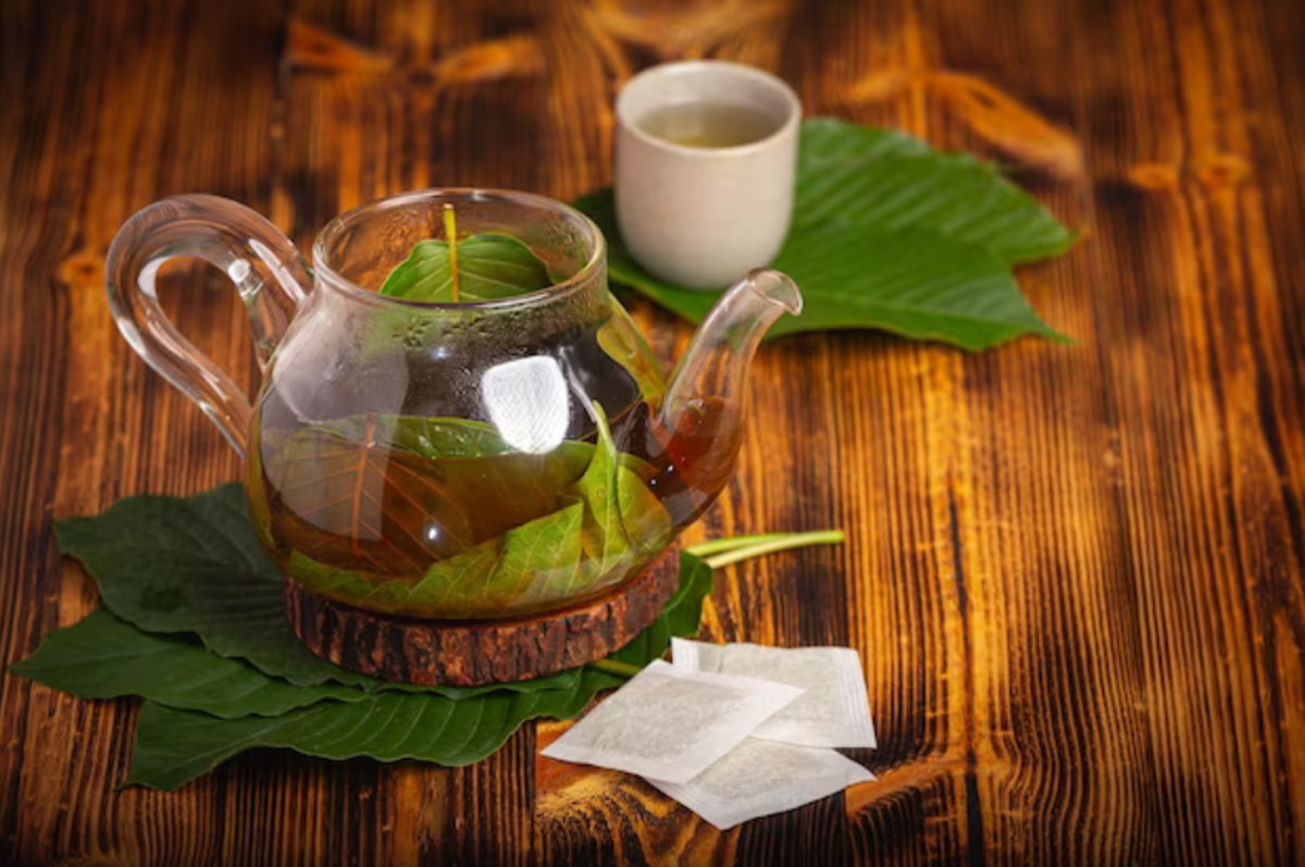 Kratom Tea Shop Chiang Mai with Organic Wellness Drinks