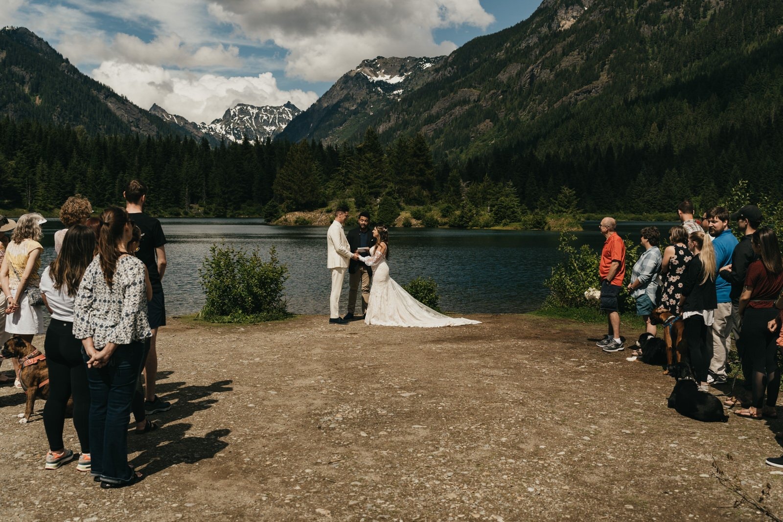 Photographer Dandenong Ranges | Artistic Forest Storytelling – Sophie Rose & Co