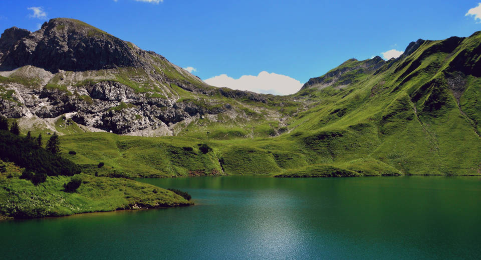 Cool Trails Near Me Offering Guided Hiking and Wildlife Tours