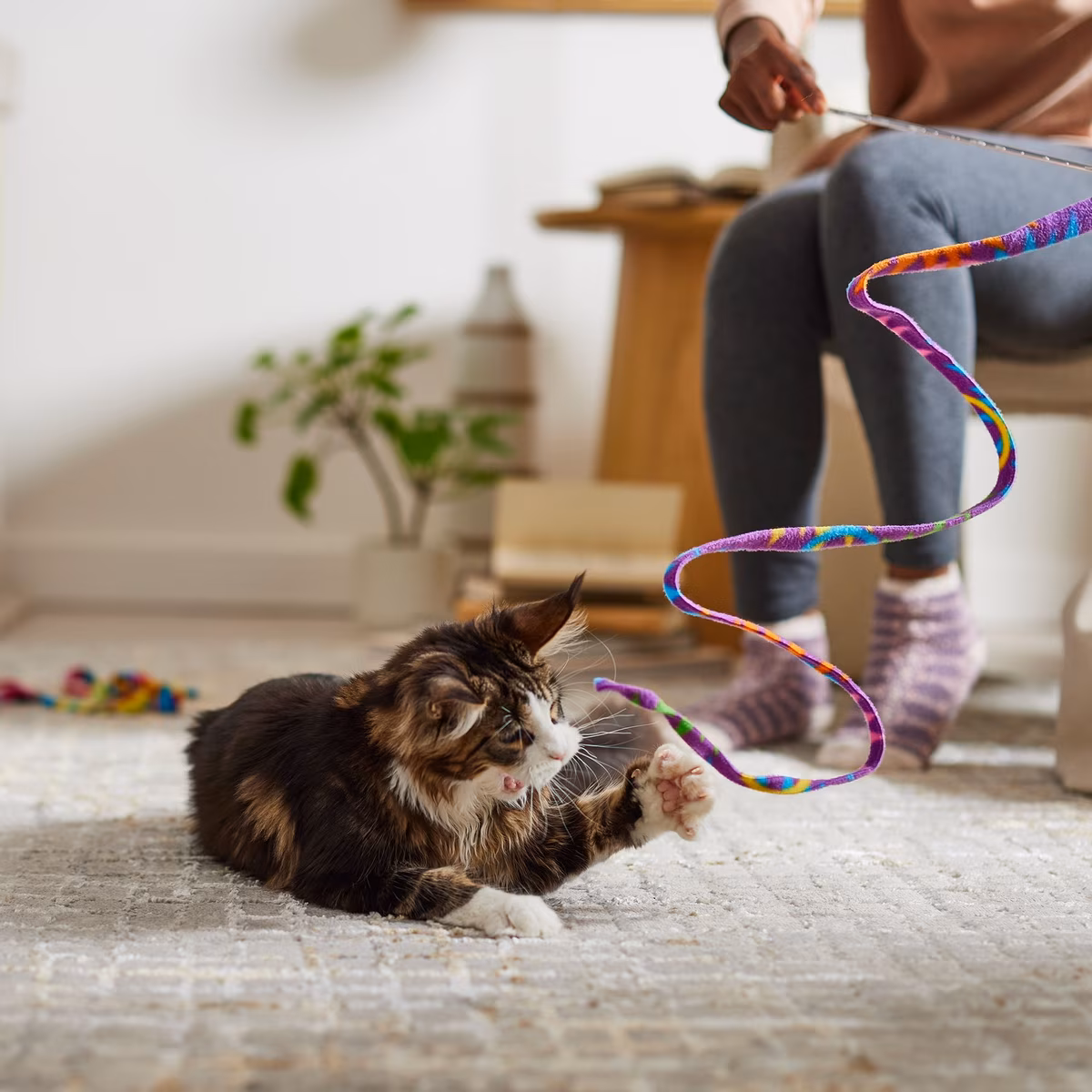 Fur Ball – Manage Cat Hair and Playtime with Catshoponline