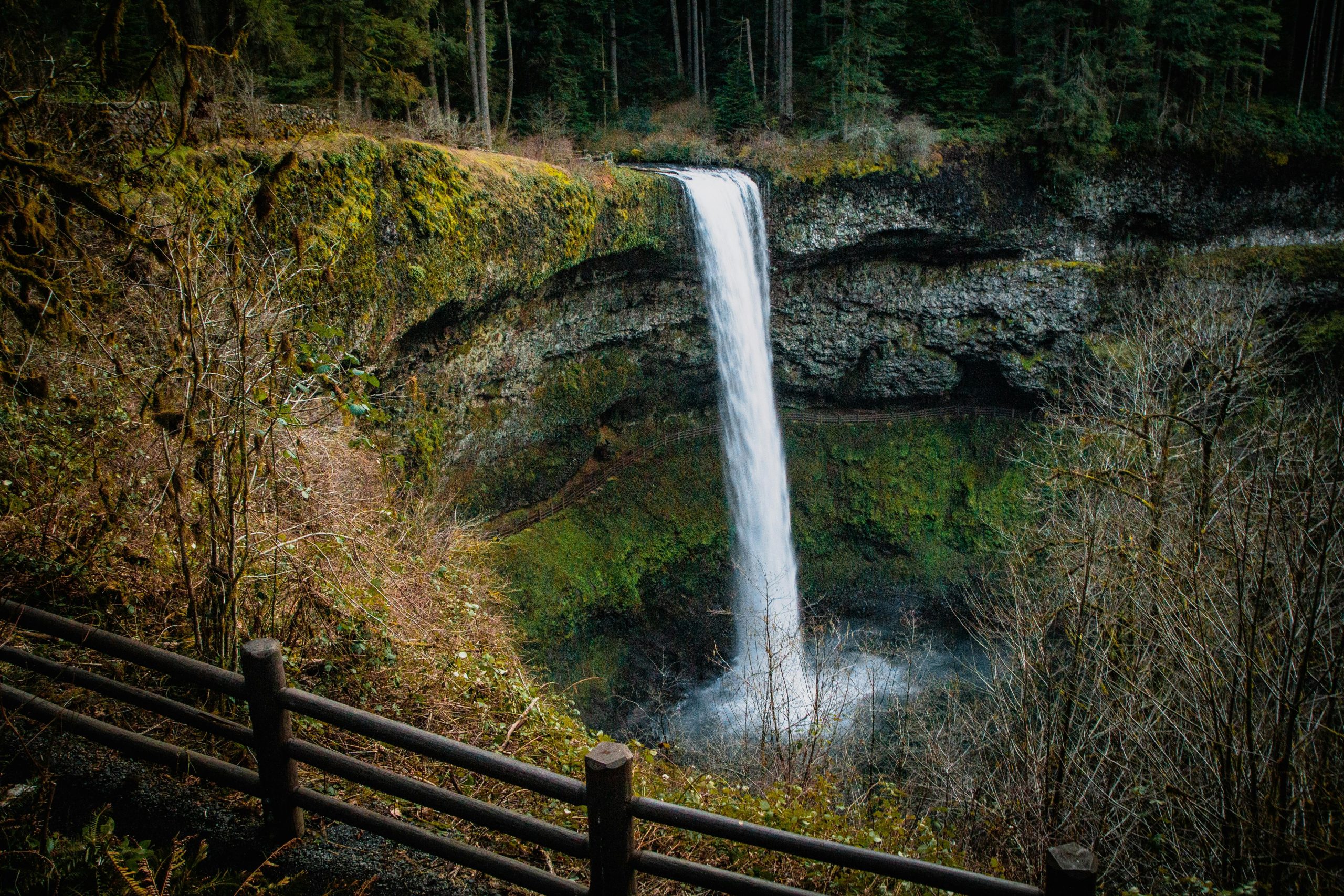 Explore Multnomah with Waterfall Shuttle Tours