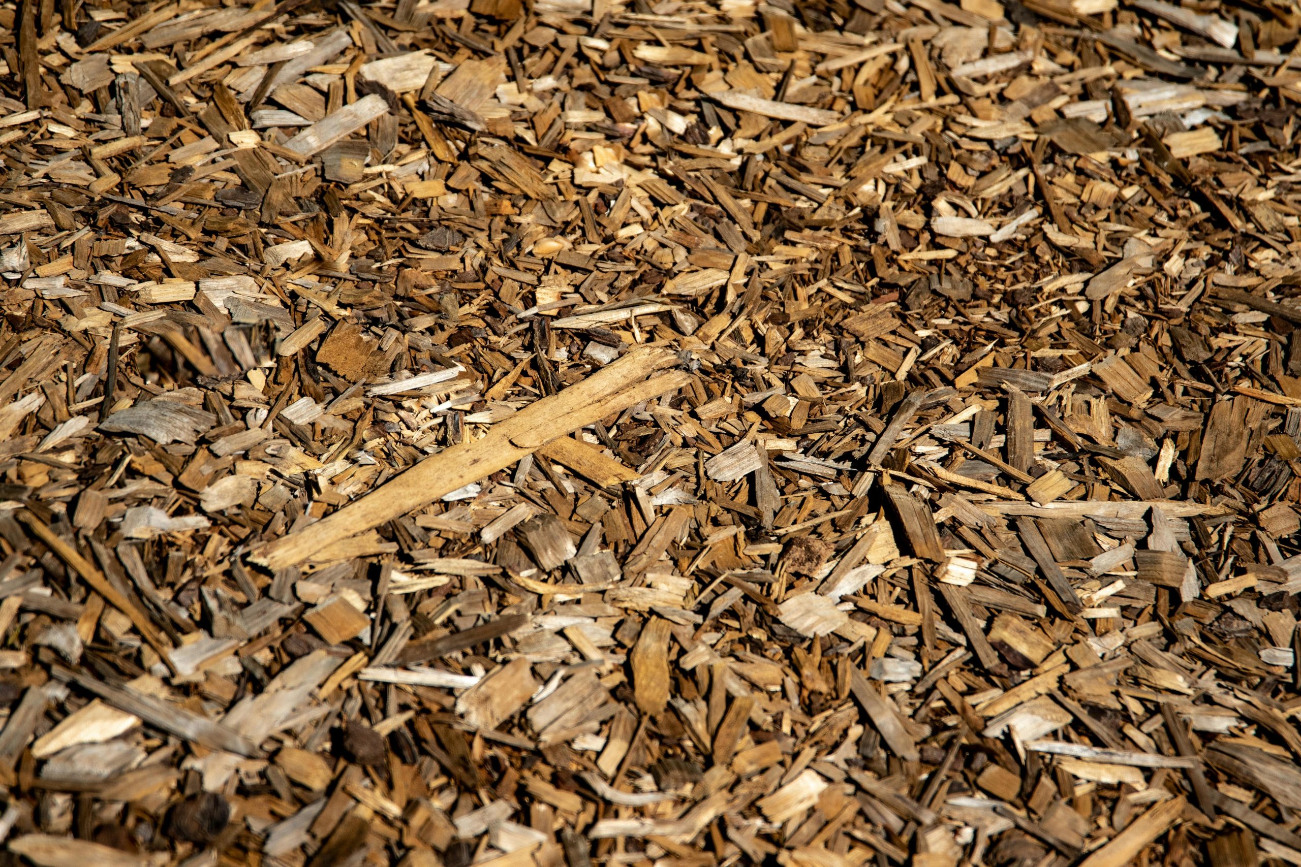 Buy Lithuanian Wood Chips for Reliable Performance